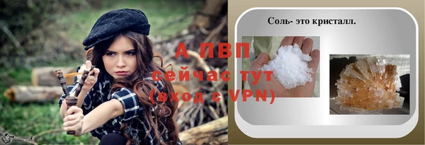 амф Верхний Тагил