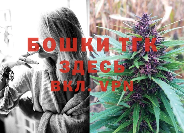амф Верхний Тагил