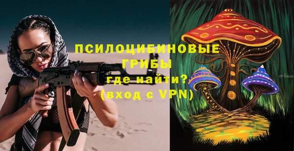 амф Верхний Тагил