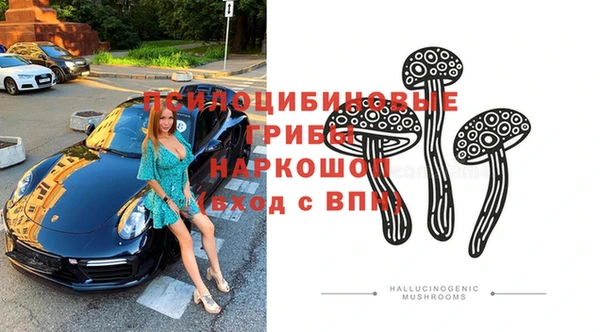 спиды Верея