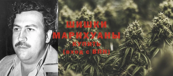 амф Верхний Тагил