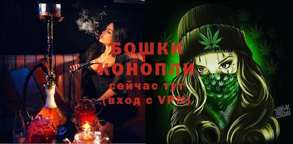 амф Верхний Тагил
