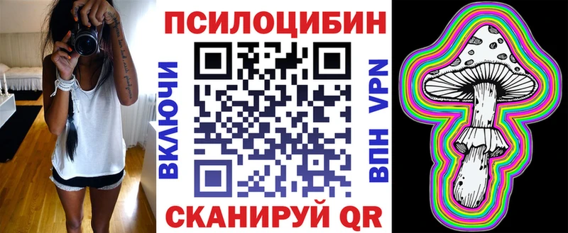 Купить где  Катав-Ивановск  Галлюциногенные грибы Psilocybine cubensis 